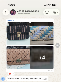 Conversa de aluna no WhatsApp mostrando bolsas em tela 1