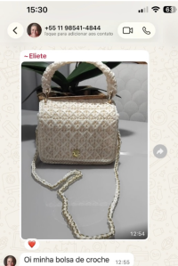 Conversa de aluna no WhatsApp mostrando bolsas em tela 3