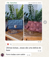 Conversa de aluna no WhatsApp mostrando bolsas em tela 4