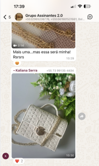 Conversa de aluna no WhatsApp mostrando bolsas em tela 2